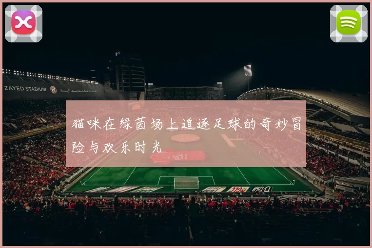 猫咪在绿茵场上追逐足球的奇妙冒险与欢乐时光