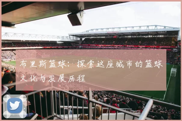 布里斯篮球：探索这座城市的篮球文化与发展历程